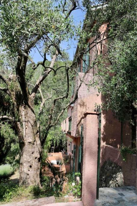 Mas Thomasine Sejour Romantique Au Calme Peillon Bagian luar foto